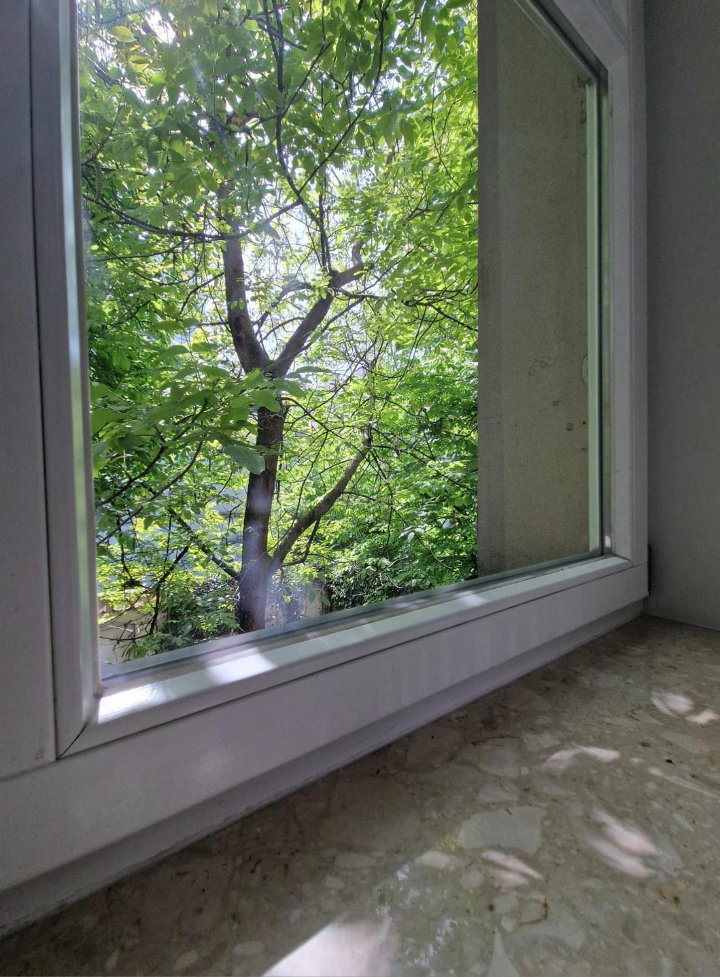 クラクフBrokilon Houseアパートメント エクステリア 写真